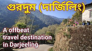 Gurdum the valley of Rhododendron | Gurdum to sandakphu trek | Offbeat Darjeeling