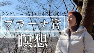 【プラーナ管】瞑想✳︎クンダリーニ活性化の時期に行っていた瞑想を一緒に体験して下さい☺️