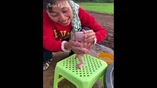 After wake up adorable baby monkey DOOB ask mom cleaning and happy swimming pool with mom