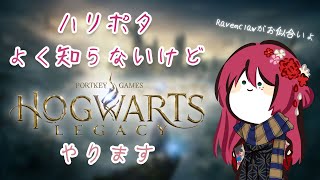 叡智が蛮族な新入生が魔法界に誕生する！入学2日目 【ホグワーツ・レガシー】