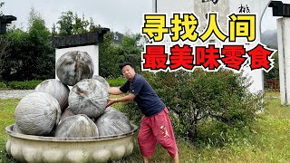 为了寻找人间最美味零食——小核桃，老吴跑到了原产地的大山里！