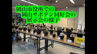 【岡山サボテン同好会】岡山サボテン同好会4月　岡山市役所での展示会の様子です　字幕ボタン（押