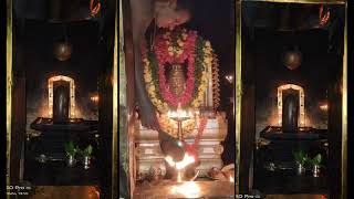 Nellithirtha Sri Somanatheshwara ನೆಲ್ಲಿತೀರ್ಥ ಶ್ರೀ ಸೋಮನಾಥೇಶ್ವರ ಗುಹಾಲಯದಲ್ಲಿ ಬ್ರಹ್ಮಕಲಶೋತ್ಸವ ದಿನದ ಸಂಭ್ರಮ