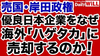 【平井宏治】売国・岸田政権！日本企業を海外ハゲタカに売却しようとする【デイリーWiLL】