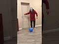 Someone brings a balloon to the dog