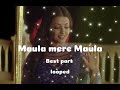 Maula mere Maula |slowed best part looped | Music Vogue