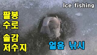 솔감저수지(팔봉수로)얼음 낚시/Ice fishing