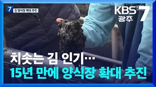 [여기는 전남] 치솟는 김 인기…15년 만에 양식장 확대 추진 / KBS  2024.03.28.