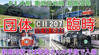 【団体臨時 ＳＬ大樹 東武日光線 新鹿沼発！新鹿沼駅では駅員さんの手旗で入線】C11-207＋客車(青色)3両＋DE10-1099 8111FとＳＬ大樹が夢の共演 東武鉄道をほぼ1日満喫する旅