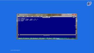 Using Paint Command Example 1