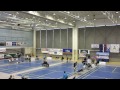 finale dp badminton 2014 iztok utroŠa vs luka petriČ mvi 8594