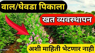 वाल / घेवडा पिकाला खत व्यवस्थापन  | अशी माहिती भेटणार नाही पाहा | @Dhartiagrochemicals