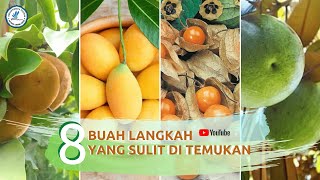 8 BUAH LANGKAH YANG SULIT DI TEMUKAN DI INDONESIA