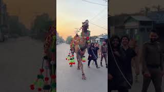 Camel dance 🪩❤️🐪❤️ #viralshort #foryou #punjabisong #trending #automobile #cameldance #dance