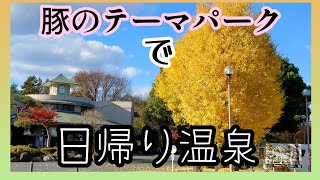 豚のテーマパークサイボクには【日帰り温泉♨】もあるよ！　埼玉県日高市