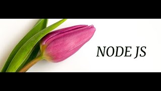 NodeJs Testing Code Using Assertion Library (expect)