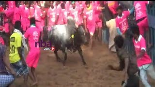 மதுரை அவனியாபுரம் ஜல்லிக்கட்டு 2019 Avaniyapuram Jallikattu 2019 Festival | nba 24x7