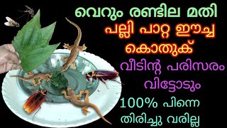 ഇനി ഇവയെക്കൊണ്ട് ശല്യമുണ്ടാവില്ല ഈ ഇല മതി 100% റിസൾട്ട് കിട്ടുന്ന കിടിലൻ Tips \u0026 Tricks Kitchen Hacks