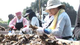 民医連東日本大地震被災地支援の記録７ 宮城県気仙沼市唐桑町