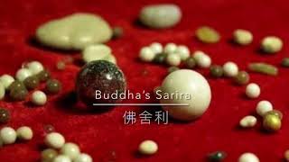 【佛身舍利.高僧大德舍利.西藏大成就者舍利】 Buddha’s Sarira.Tibetan Eminent Monk Sarira