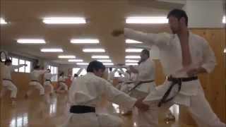 Training at JKA (Japan Karate Association) Honbu Dojo