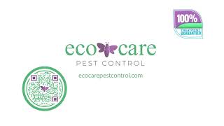 EcoCare Pest Control - Pest Free Guarantee!