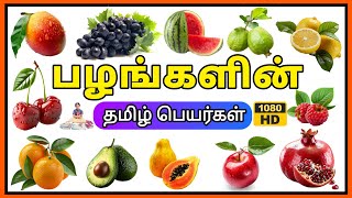 பழங்களின் பெயர்கள் | Learn Fruits Names in Tamil for kids