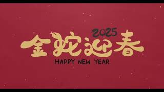 The Seagull's Kiss | Happy Chinese New Year | 2025 蛇年新春快乐 | 无人机