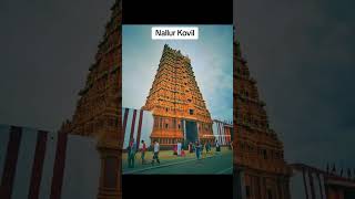 யாழ் |Yalpanam Travel Guide #thambapanni_sanchare #jaffna #travel #travelshorts #travelguide #fyp