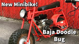 New Minibike / Baja doodle bug review