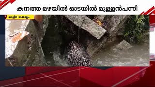 കനത്ത മഴയിൽ ഓടയിൽ മുള്ളൻപന്നി; വനംവകുപ്പ് ഉദ്യോഗസ്ഥരെത്തി പിടികൂടി | Porcupine