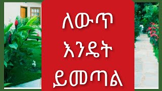 #ለውጥ እንዴት ይመጣል/ንግስቴነሽ Tube #ለውጥ በድሩ ሁሴን