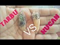 liontin TARBU VS KUCAN asli original