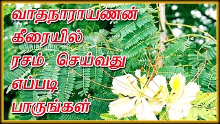 வாதநாராயணன் கீரையில் ரசம் செய்வது எப்படி பாருங்கள் தமிழில்| Vathanarayanan Keerai Rasam Recipe tamil