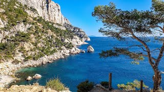 Chant des Cigales avec le bruit des vagues - Musique relaxante - Relaxation - Vacances