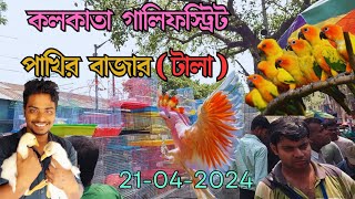 কলকাতা টালা পাখির বাজার ❤️ galiff Street market new video birds price update 💓💓 #4k