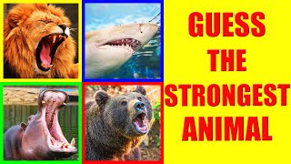 Which animals have the strongest BITE FORCE? | Animal Bite Force Comparison Quiz