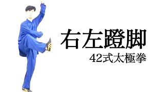 42式太極拳｜第16式〝右左蹬脚〟｜レベルアップ