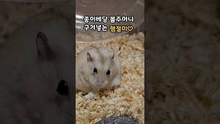 이거 먹어도 괜찮나요?Is it okay to eat paper?