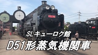 「D51形蒸気機関車」 真岡駅 SLキューロク館 展示車両