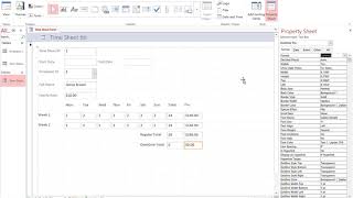 Employee Time Sheet & PayCheck Database 6
