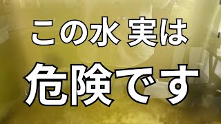 メダカの飼育水が悪化しているサイン３つ