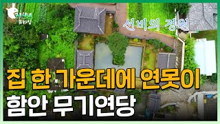 고즈넉한 선비의 정원│함안 무기연당│위대한유산 100경