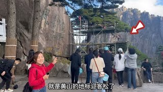 黄山上的标志迎客松，到底是什么样子？带大家实地看一下