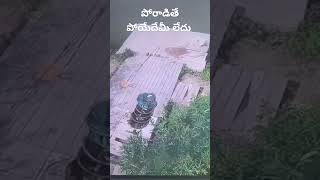 పోరాడితే పోయేదేమీ లేదు #motivation #trending