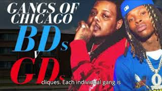 The Evolution of Gang Culture in Chicago: From Past to Present
