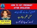 after intercourse when is pregnancy confirmed pregnancy test positive menstrual cycle ovulation