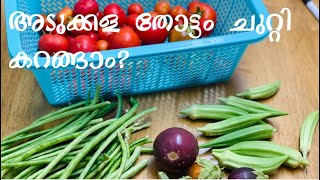 അടുക്കള തോട്ടം ചുറ്റി കറങ്ങാം? | My Vegetable Garden | Pammu's Kitchen