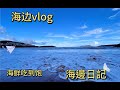 【Vlog】暑假海边vlog｜一千元能住一套别墅｜海鲜吃到饱什么体验