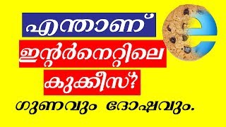 എന്താണ് കുക്കീസ് - What is Cookies in internet - Malayalam | Nikhil Kannanchery